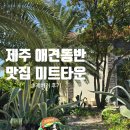 정원미트 | 🏝️제주 애견동반 맛집 미트타운 수제버거 후기(애월 핫플)🐶✨