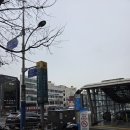 진주사 | 봄 시작되고 심해진 알레르기성 비염 상도동 이비인후과 히스토불린 주사 후기