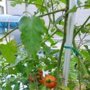 선우정경로당 이미지