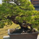 만금 2농장 이미지