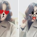 돌리고말리고 이미지