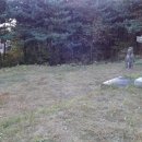 이천서씨 묘 이미지