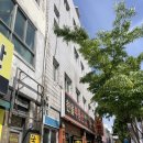 더 좋은 게임 | 대구 중구 동성로 파티룸 “파티룸 틈(Teum)” 후기 | 대구 주차편한 파티룸, 단체 모임하기 좋은 장소...