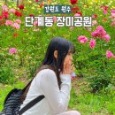원주시향 특별음악회 | 원주 단계동 장미공원 축제 2026 일정 장소 초대가수