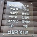 수도산_자연휴양림2_세미나실 출입구쪽 로비상단_#3 | [춘천] 레고랜드 숙소 강원숲체험장 아이랑 춘천여행 숙소