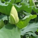 도장골농장 이미지