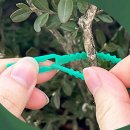 사무엘농장 이미지