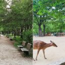 빌딩 숲 벗어나 자연을 만나는 '서울 속 도심 공원' 5 이미지