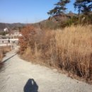 효성목장 이미지