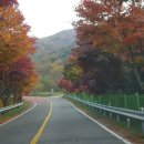 김원중 농장 이미지