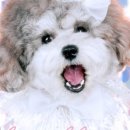 항상봄처럼 스튜디오 이미지