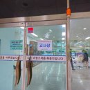 생활체조장 | 생활스포츠지도사 체조 종목 '기계체조' 구술&amp;실기