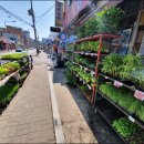 단골농약 이미지