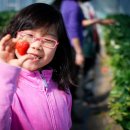 양편농장 이미지