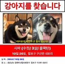 창원시 합포구 구산면에서 실종 되었습니다. 이미지