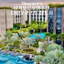 호텔 디 | 싱가포르호텔추천 디아웃포스트 센토사 객실 수영장 후기 할인코드 공개