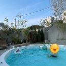 3.42 스테이 이미지