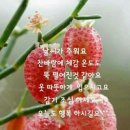 숙미용실 이미지
