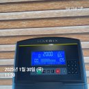 초절식 다이어터(지망생) 겸 폐급 흑화 유예생의 1월