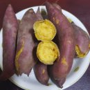 어부네농장 이미지