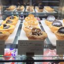 나타드벨렘 이미지