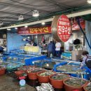 진우수산 이미지