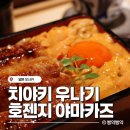 오사카 도톤보리 우니 장어 덮밥 맛집 &lt;치야키 우나기 호젠지 야마카즈&gt; | 후기 및 가격, 예약 방법