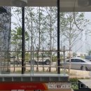금곡약국 이미지