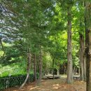 세븐일레븐 진주르네상스점 이미지