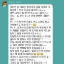 브리티쉬숏헤어 캐터리 이미지