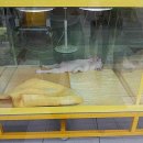 개편한세상 이미지