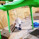 카리브민박 이미지