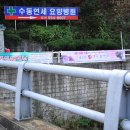 수동연세요양병원 이미지