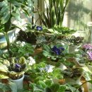 영찬농장 이미지