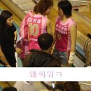 핑크 스파이더 이미지