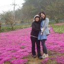 들꽃나라 이미지