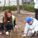 당고개약국 이미지