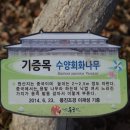 경주화원