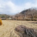 김동호 농장 이미지