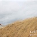 (주)베스트칩 이미지