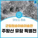 주왕산 유람 특별전 이미지