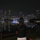 2604 신비로운 일이 막 생길 것 같은 밤
