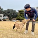 BG독케어센터 네이버블로그
