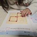 천보초 이미지