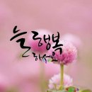 지오애견미용샵 이미지