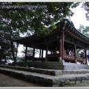 백마식당 이미지