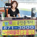 탑월드 이미지