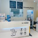 도그어게인 이미지