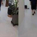 강남마디척의원 이미지