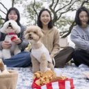 하늘하개 이미지